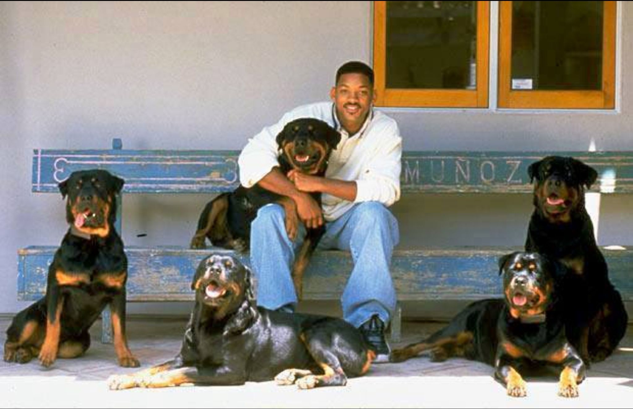 Will Smith mit seinen fünf Rottweilern.